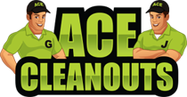 acecleanout